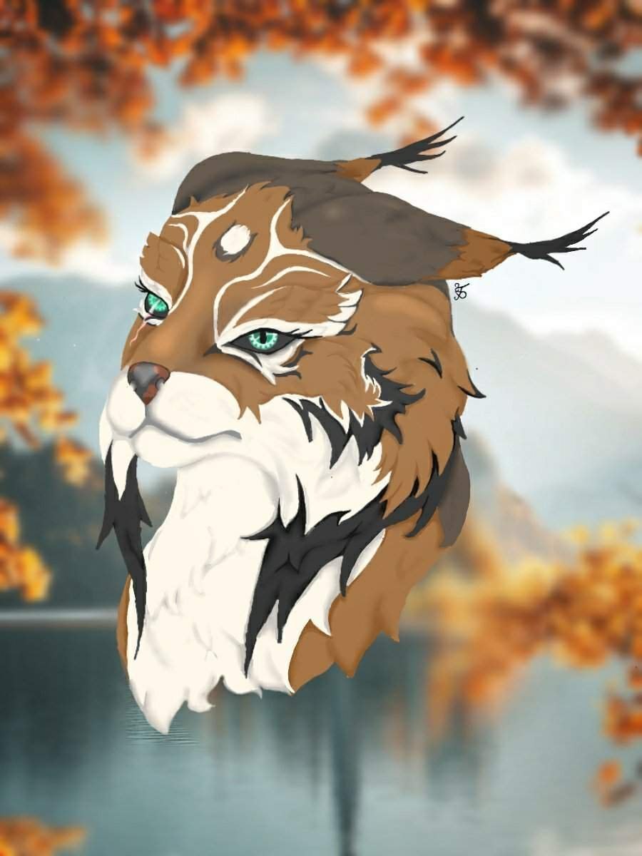 WILDCRAFT Рысь