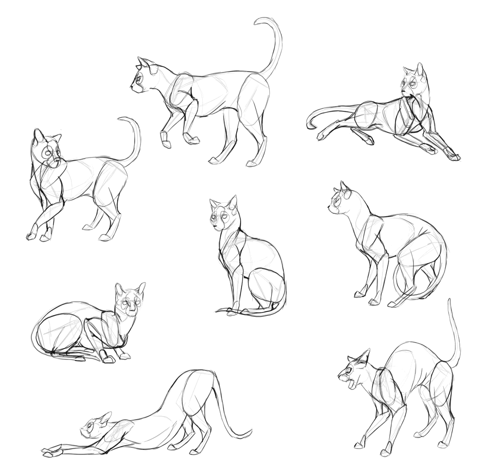 Котенок референс