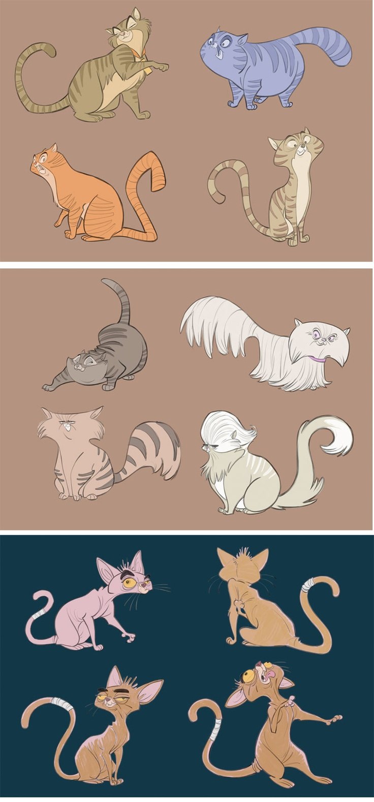 Котики референсы