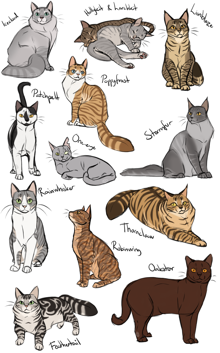 Кошка сбоку референс