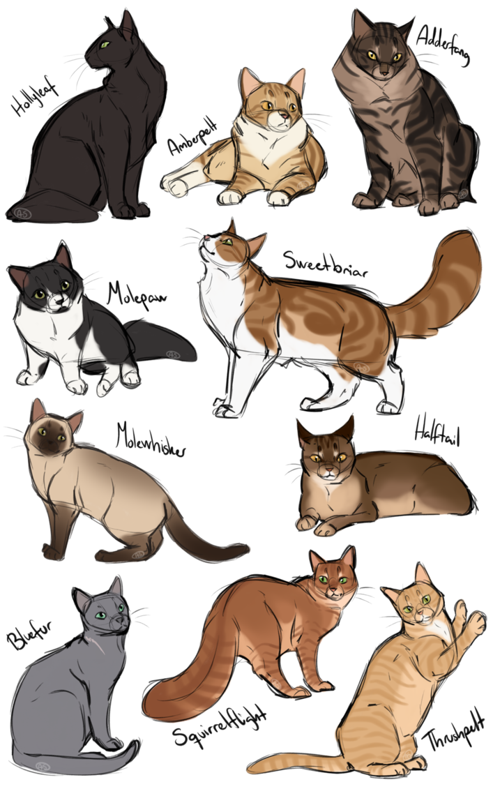 Референс коты Воители головы