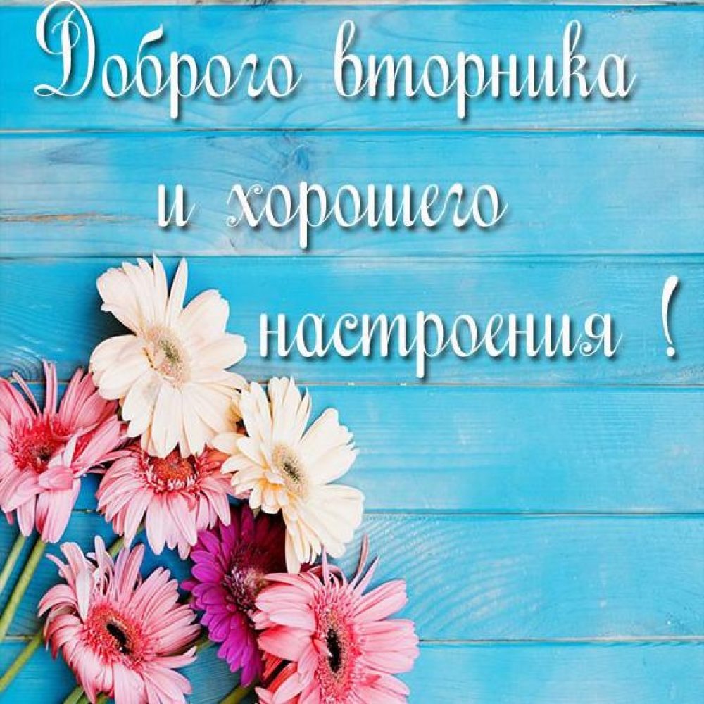 Хороших выходных открытки