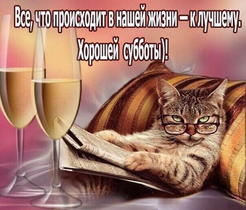 Открытки приятного выходного дня