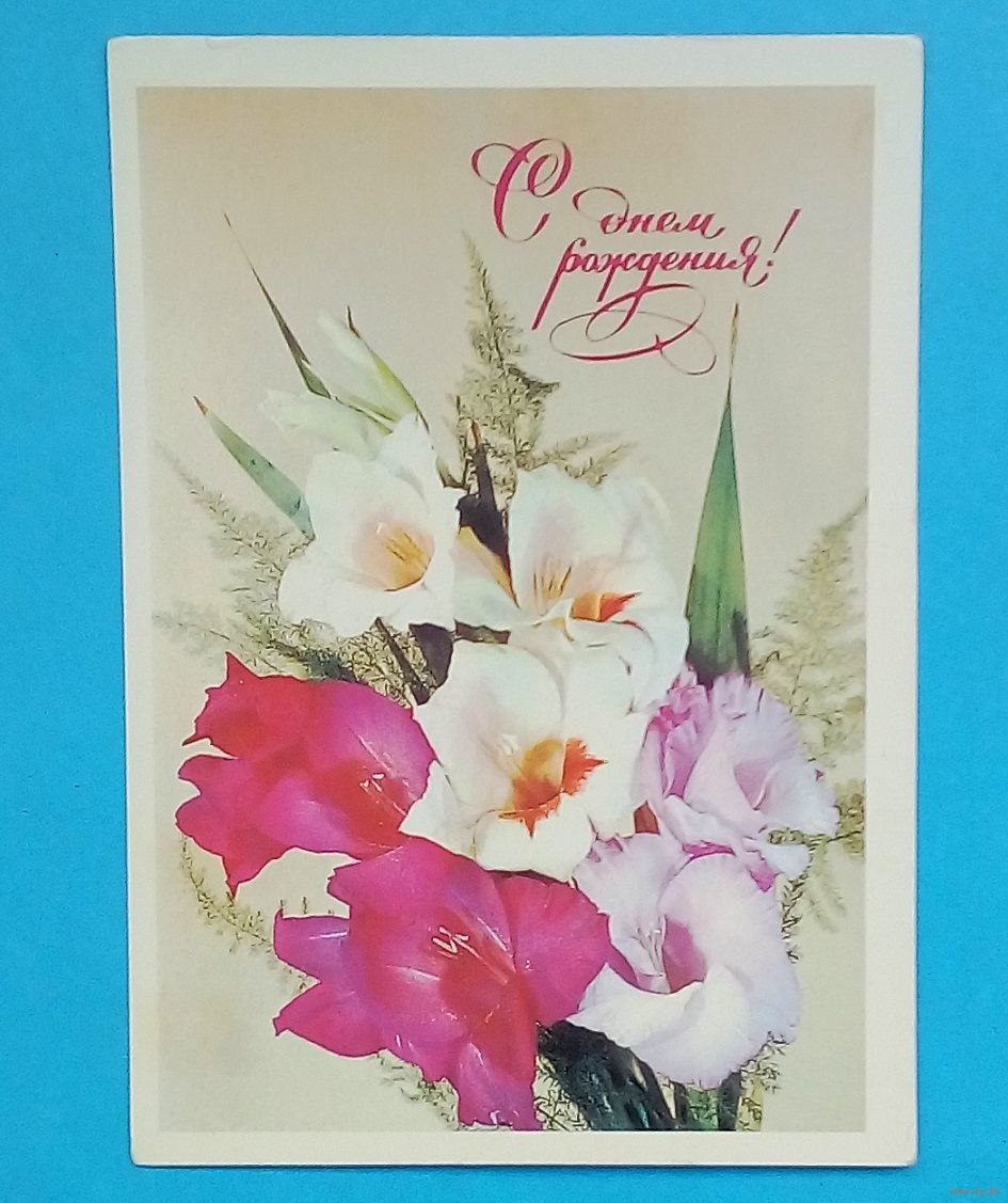 С днём рождения гладиолусы