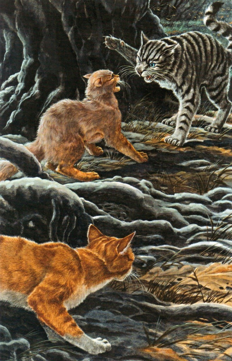 Коты Воители Коршун
