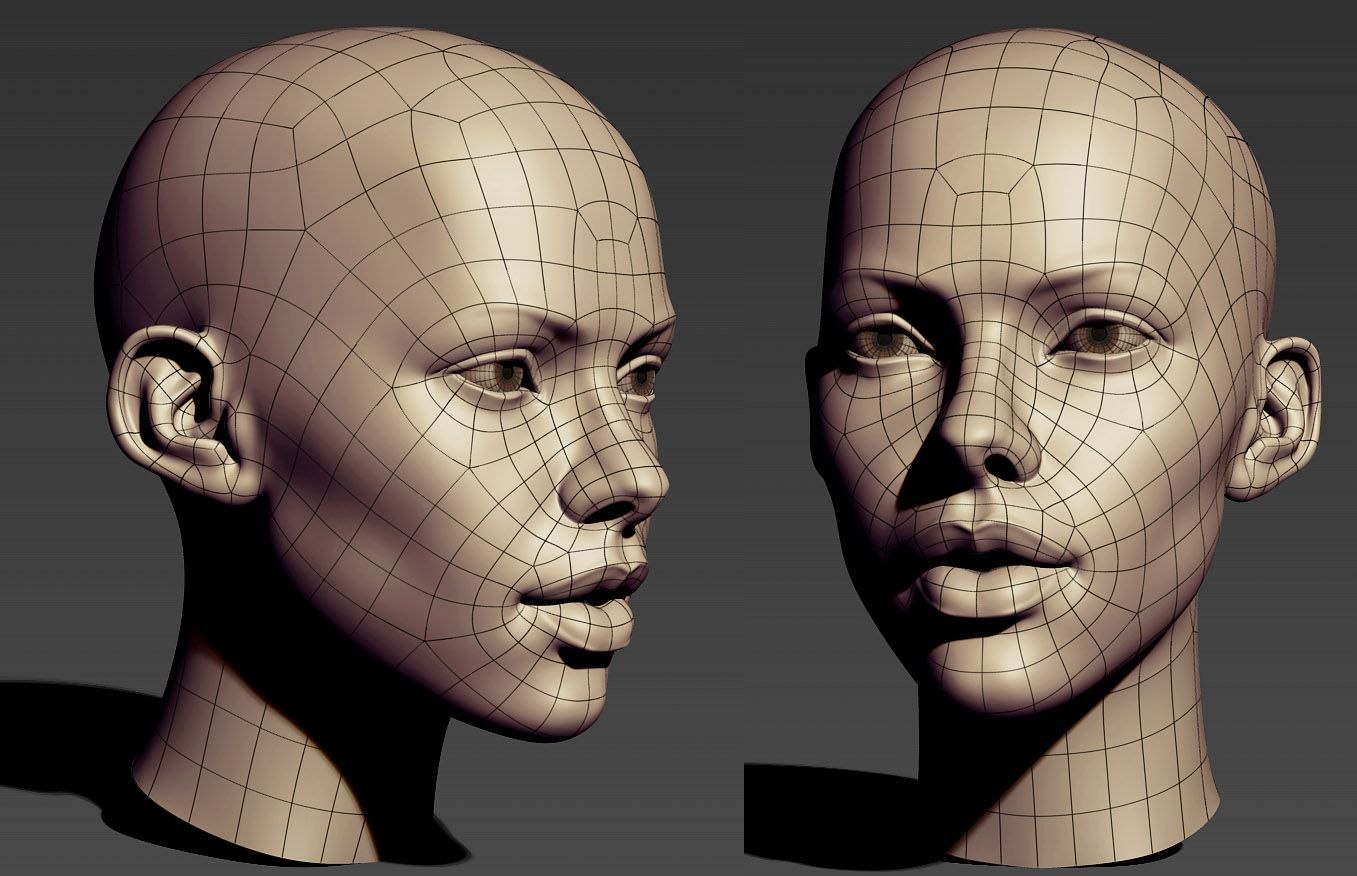 Найди human. Топология лица. Моделирование лица. Голова человека для моделирования. Макет головы человека.