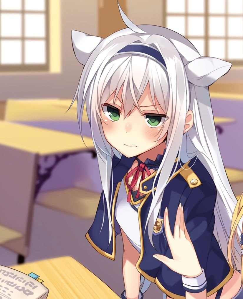 Аниме Rokudenashi Majutsu Koushi to Akashic