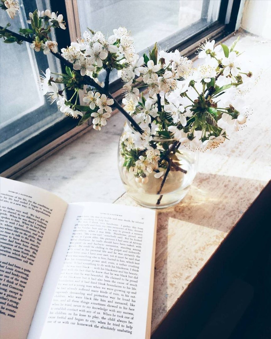Эстетика растений и книг