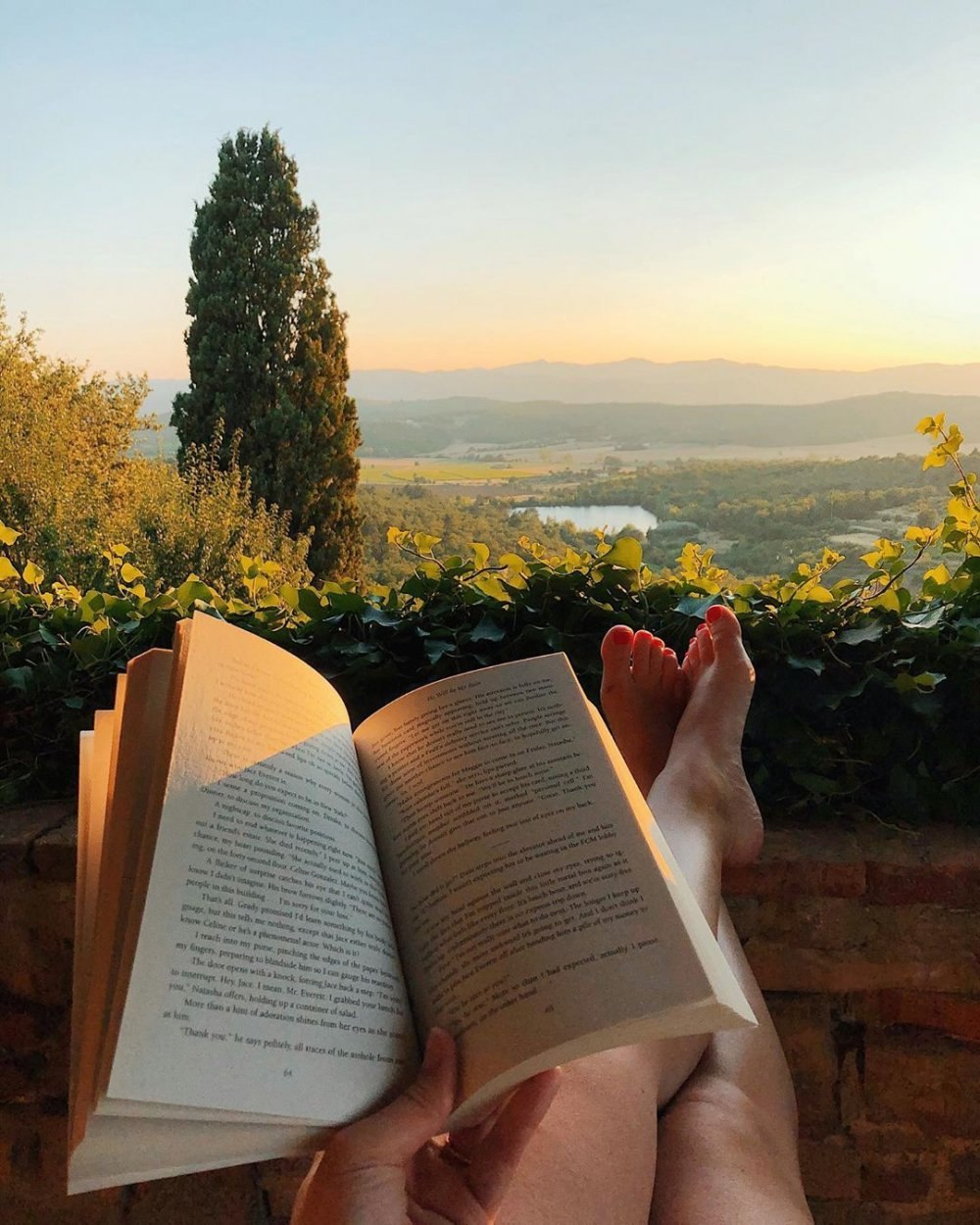 Летняя книжная Эстетика