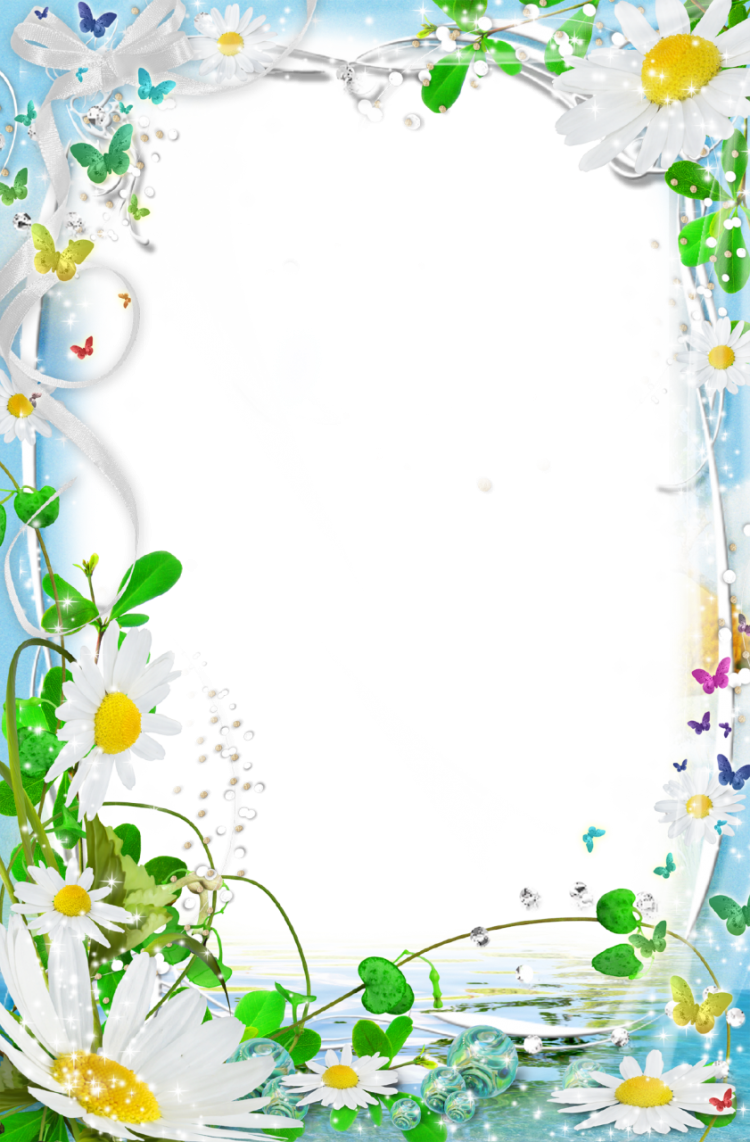Летняя рамка