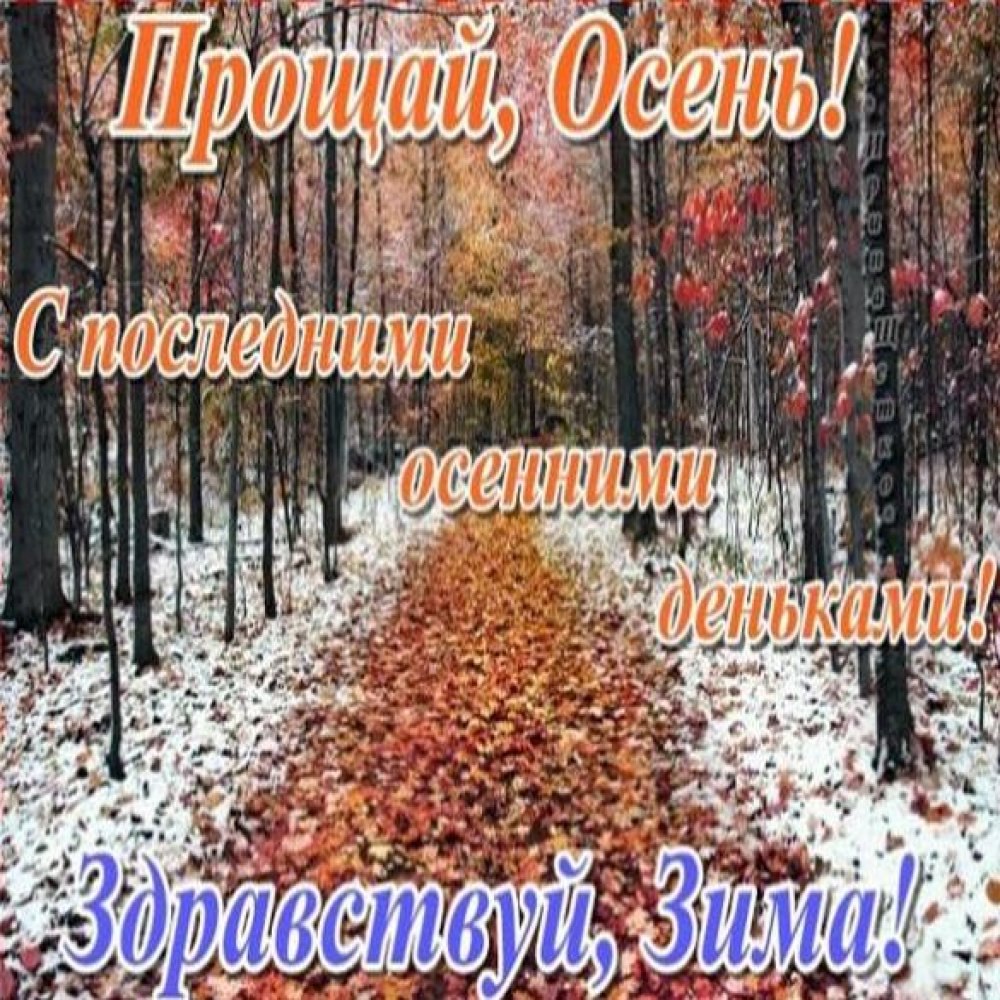 С добрым осенним утром понедельника прикольные