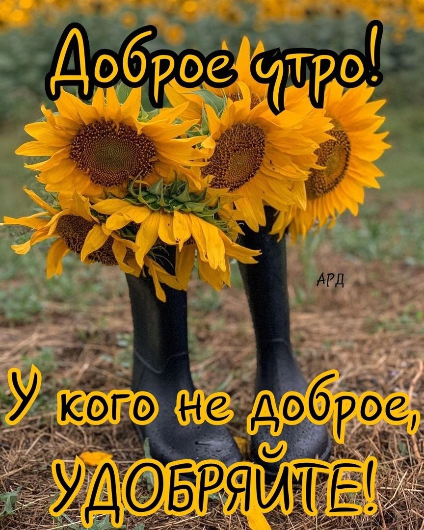 Осенний понедельник