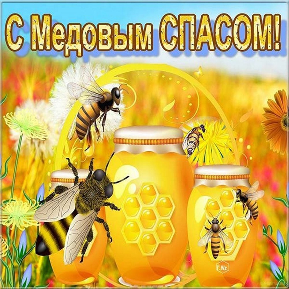 Мед подсолнечника