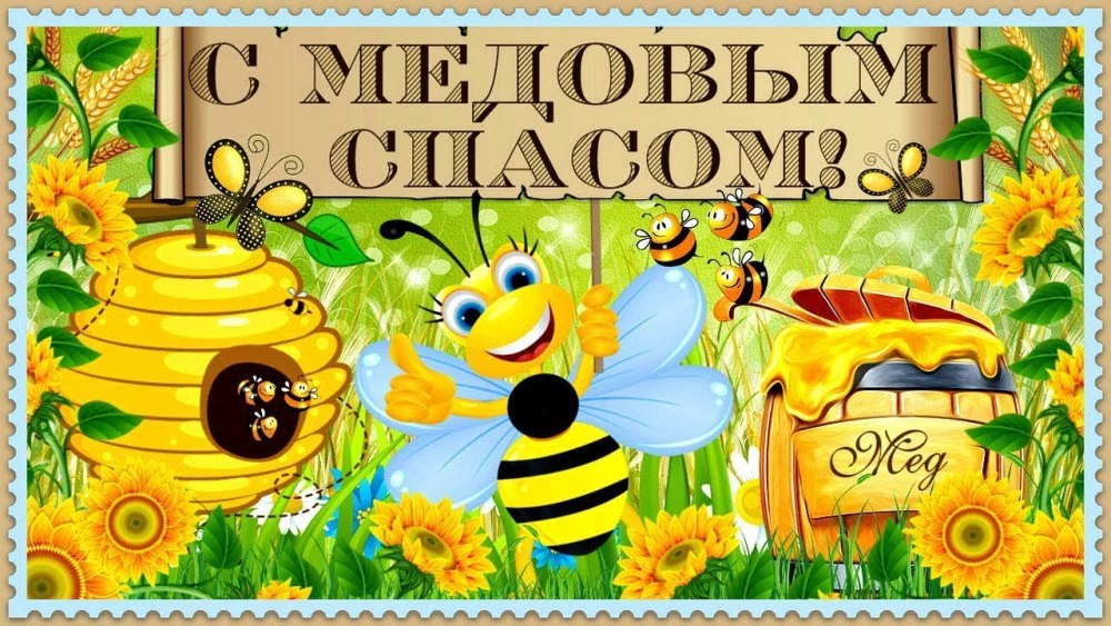 Девясил отвар