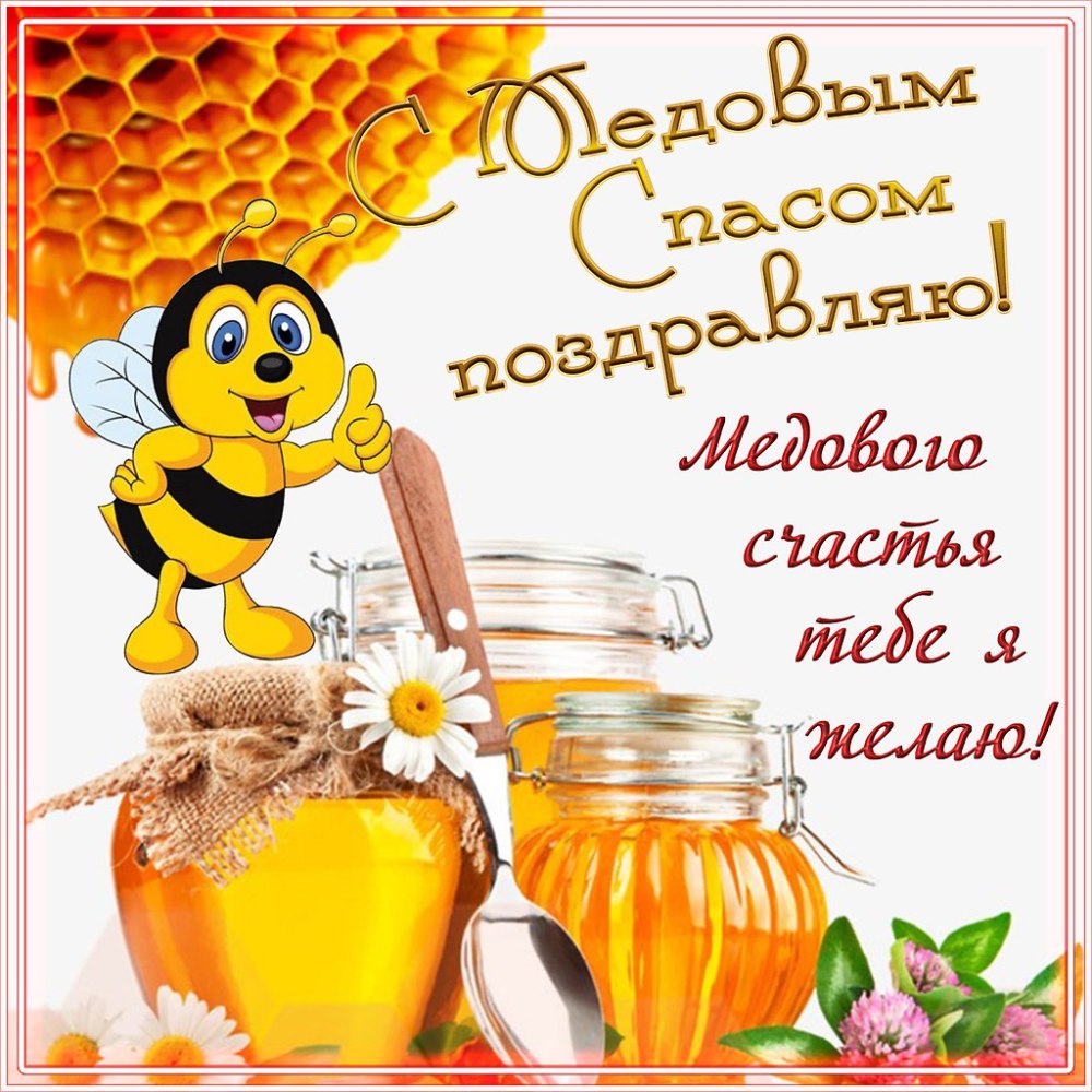 Мед разнотравье фото