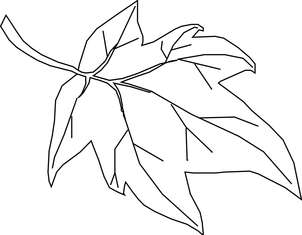 Лист клена эскиз