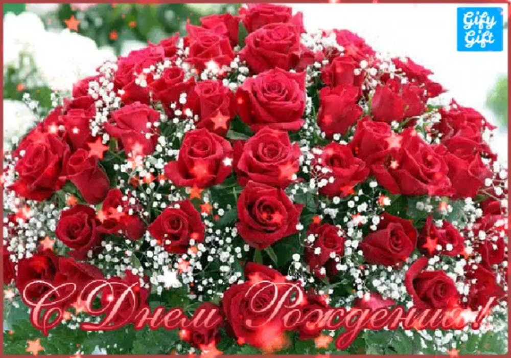 Шикарные розовые розы