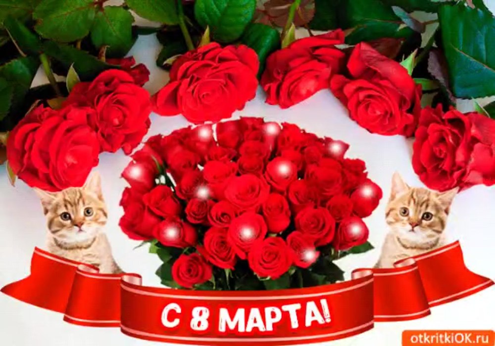 Шикарные розы для тебя