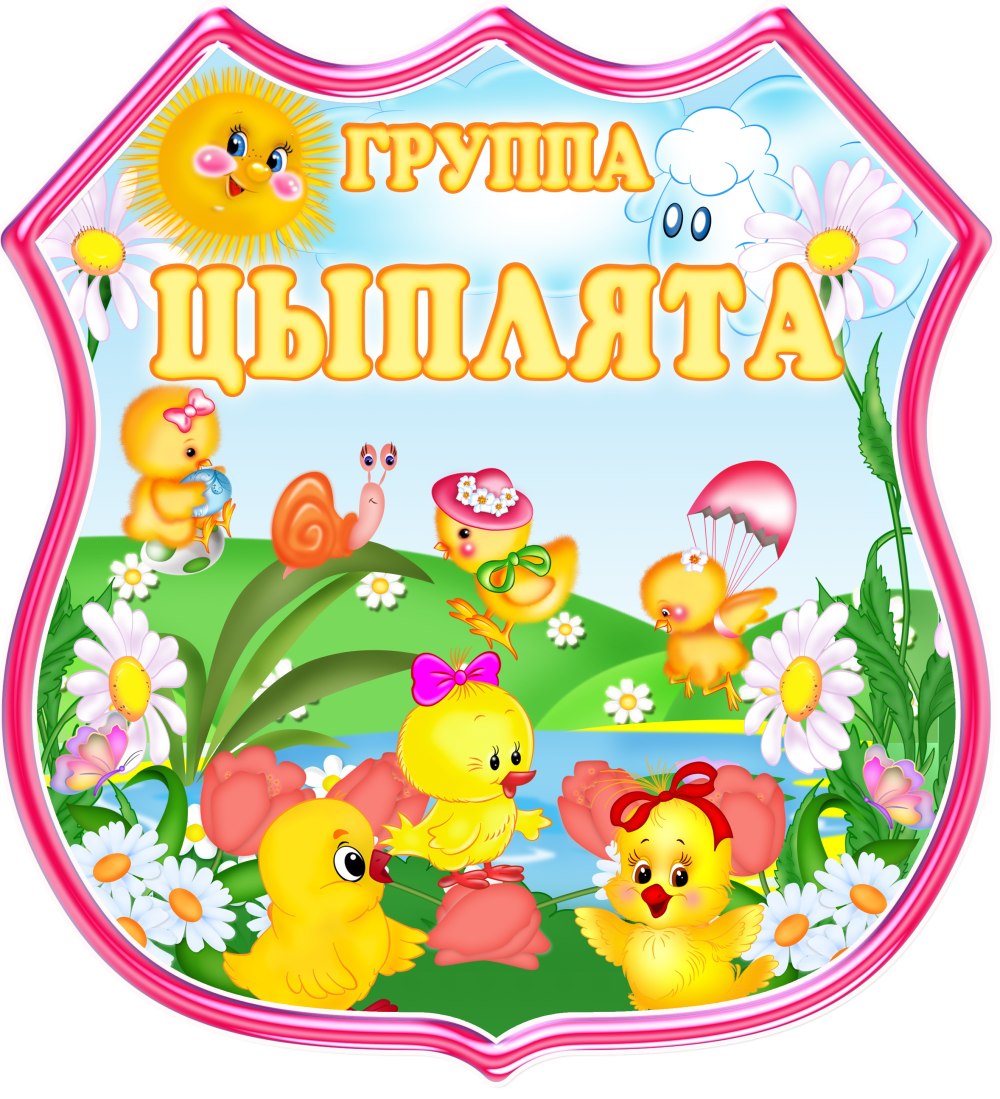 Группа цыплята