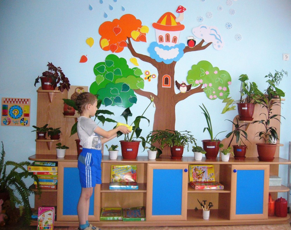 Уголок природы в детском саду