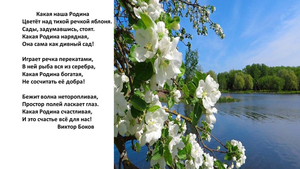 Фон для презентации книги