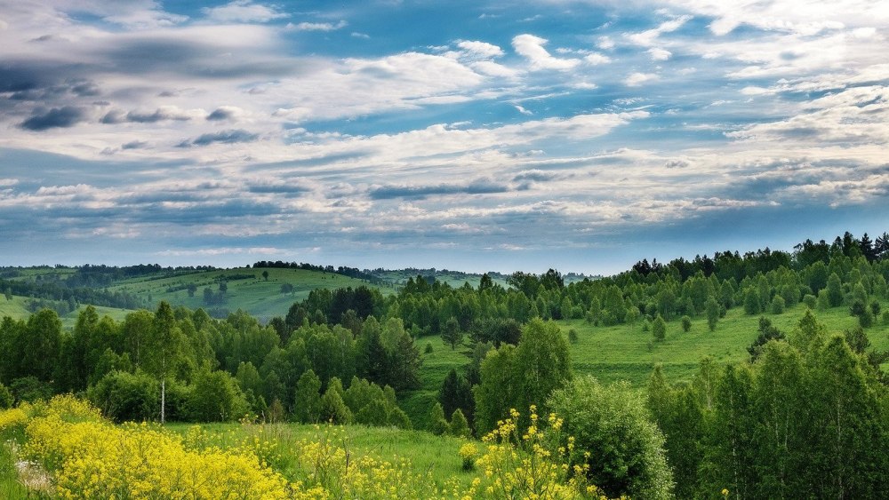 Фон литература