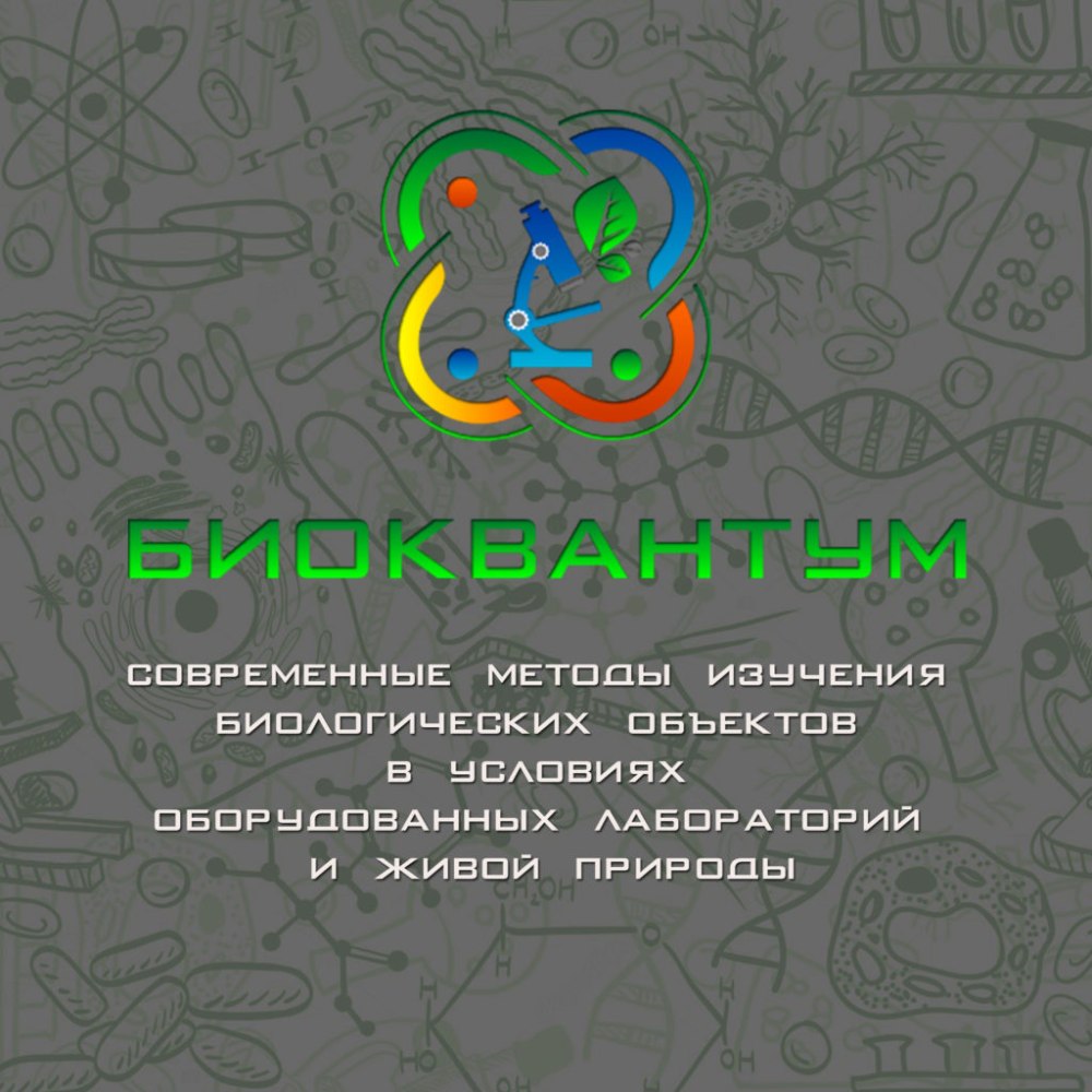 Гео Аэро Квантум