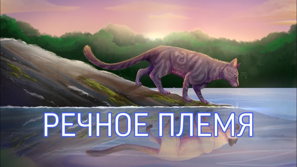 Коты Воители коты речного племени