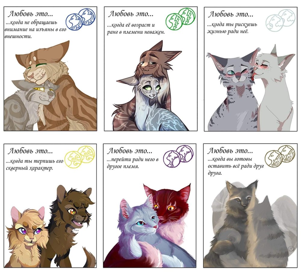 Коты Воители белолапа и Березовик