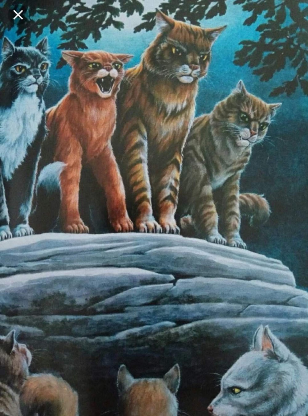 Коты Воители Алозвёзд
