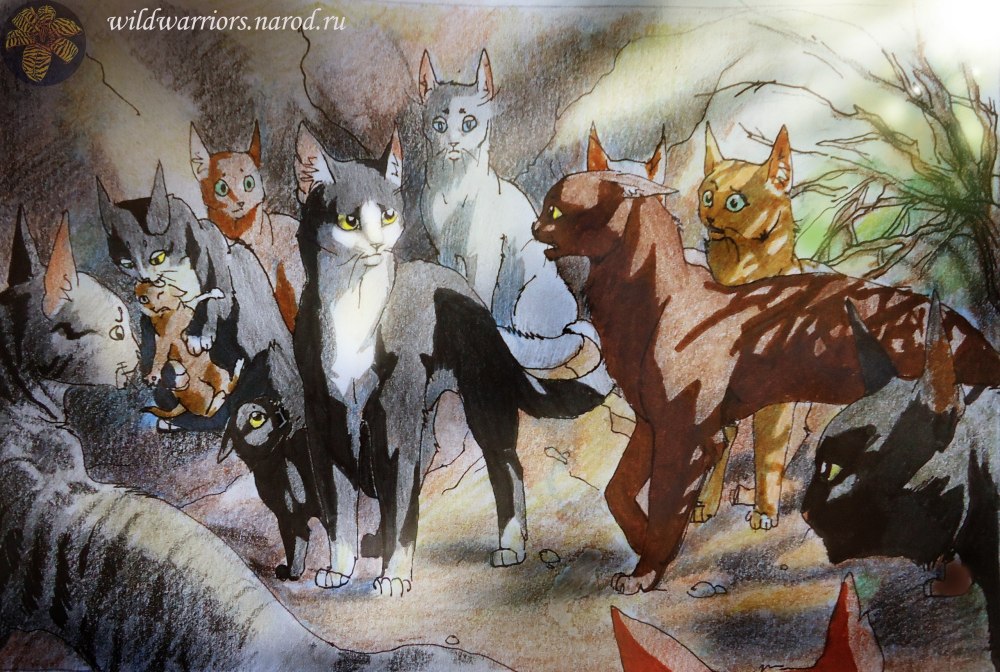 Коты Воители персонажи и их имена