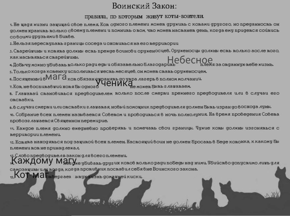 Воинские законы котов воителей