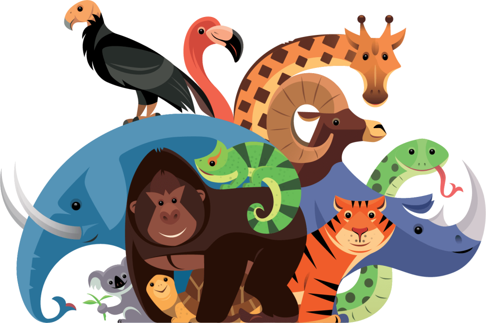 Zoo для детей