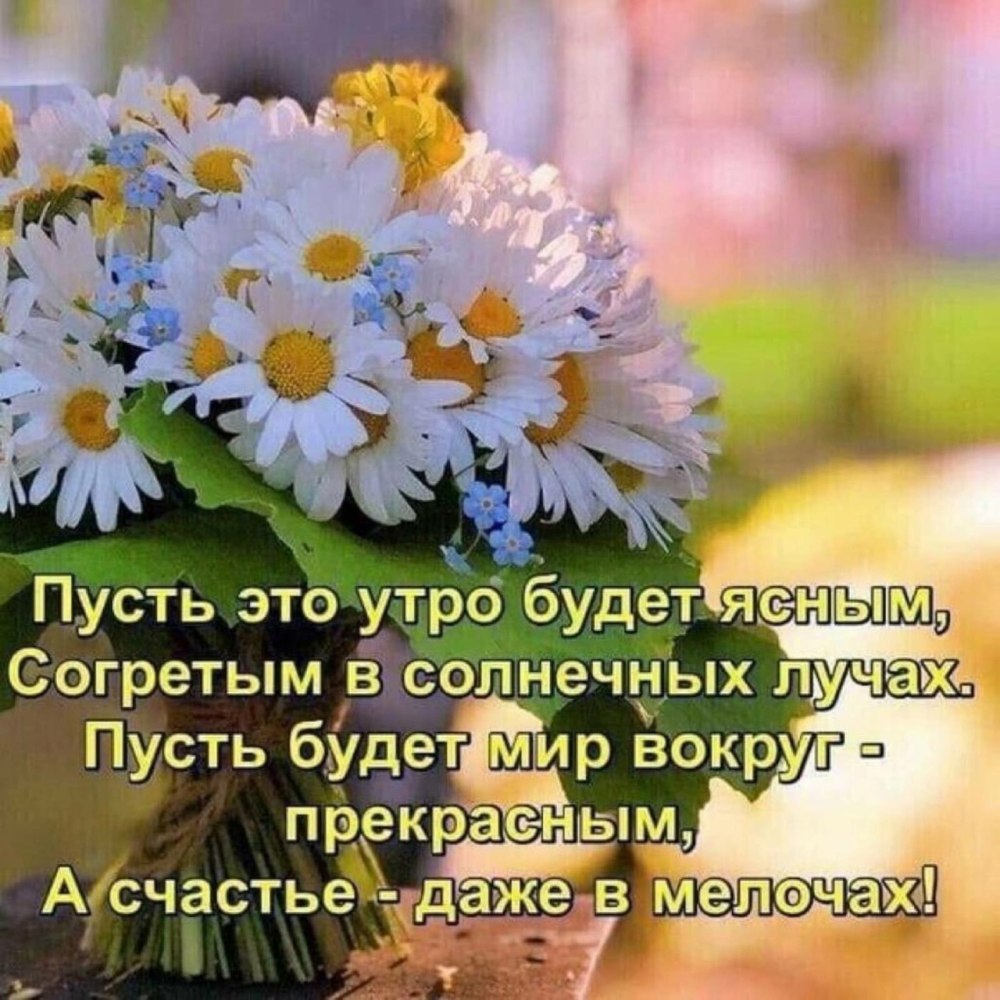 С добрым солнечным утром пожелания