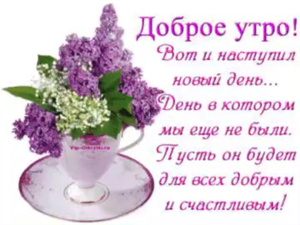 Доброе утро с цветами и пожеланиями