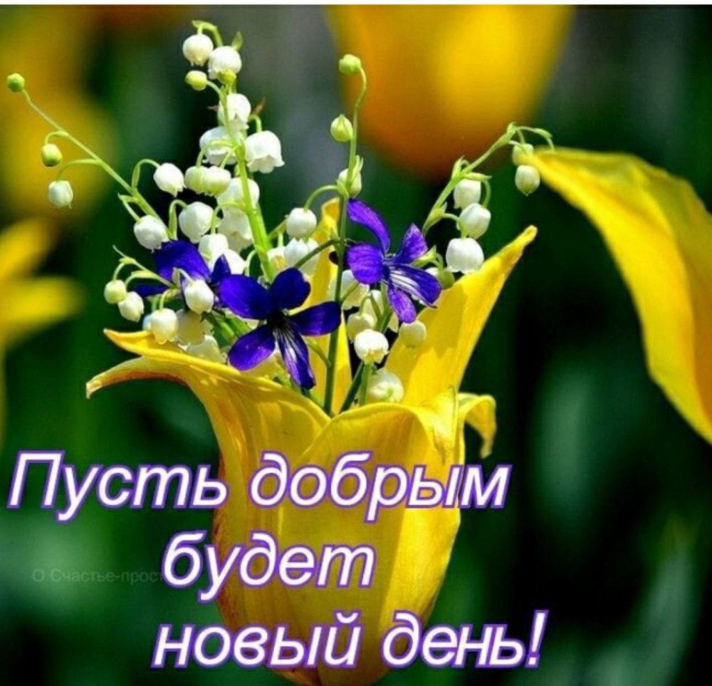 Доброе утро