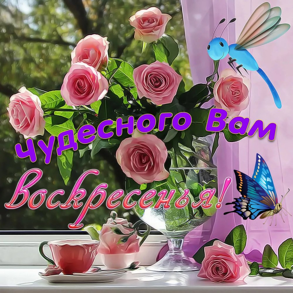 Пожелания доброго дня