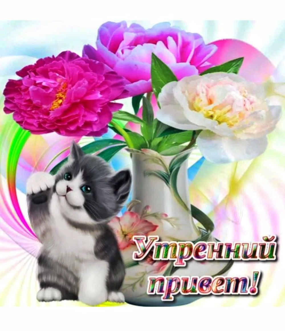 Букет роз с добрым утром