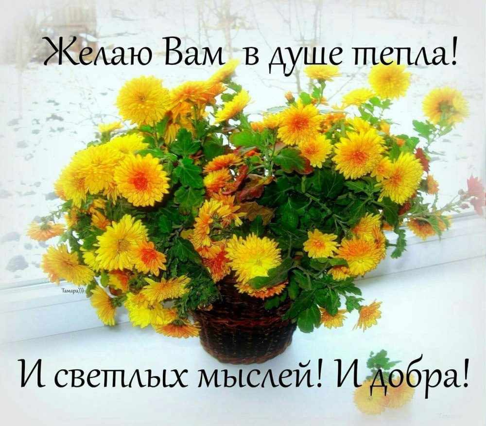 Открытки отличных выходных с розами