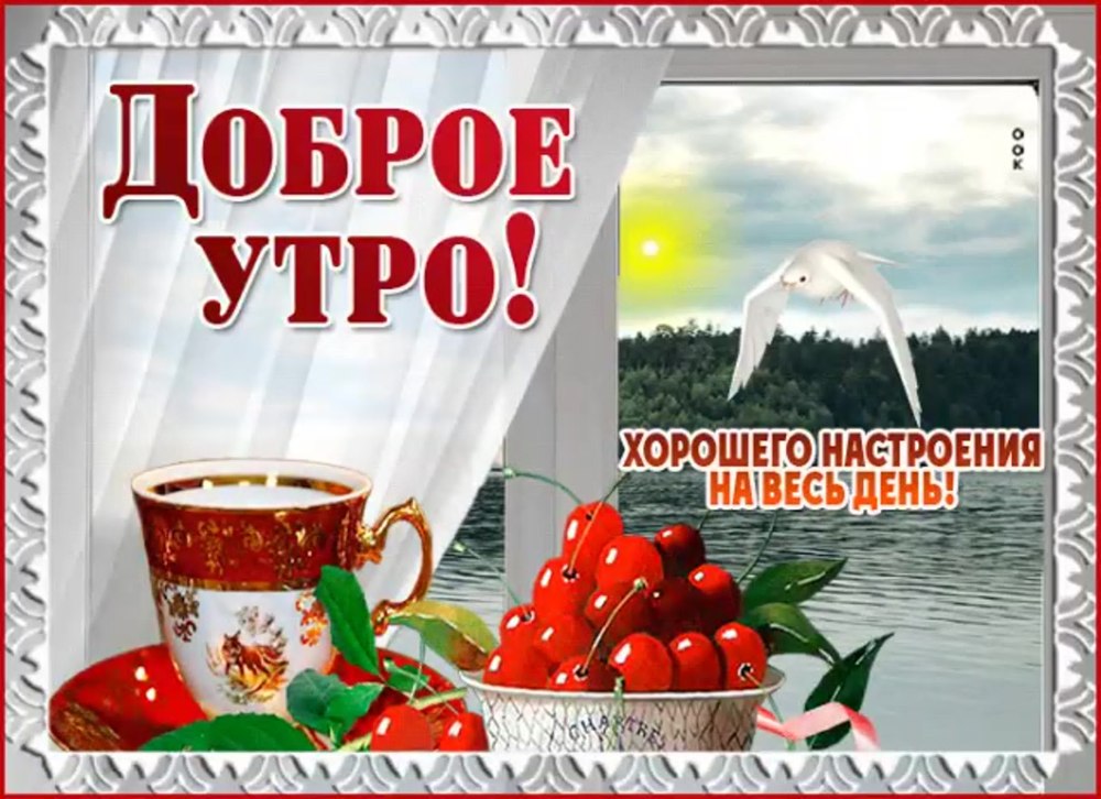 Горшечные розы в корзине