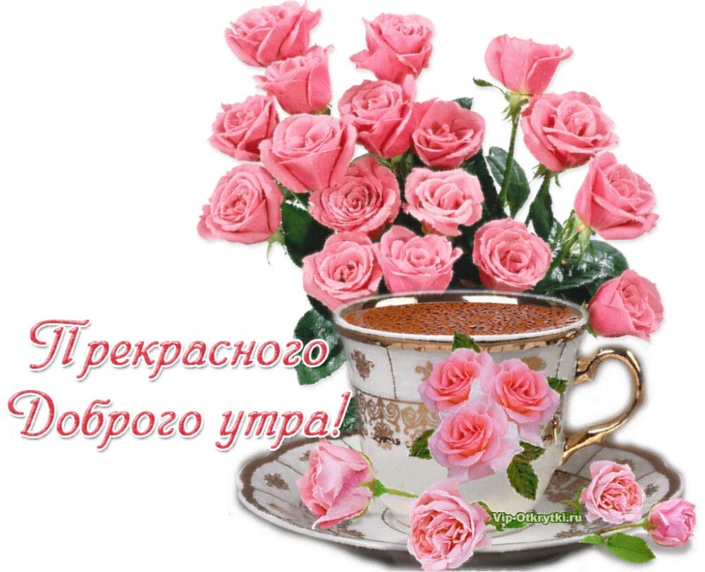 Цветы с пожеланиями ЗДО