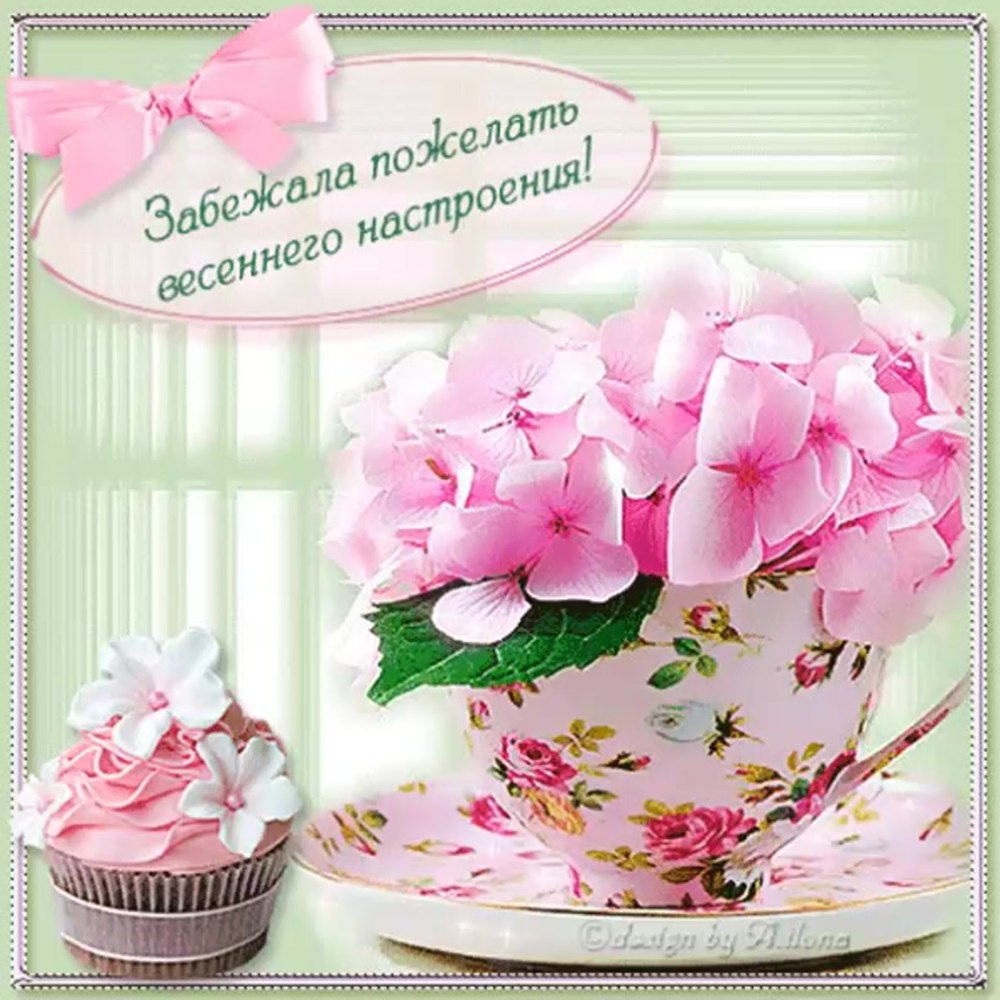 Цветы для друзей с пожеланиями