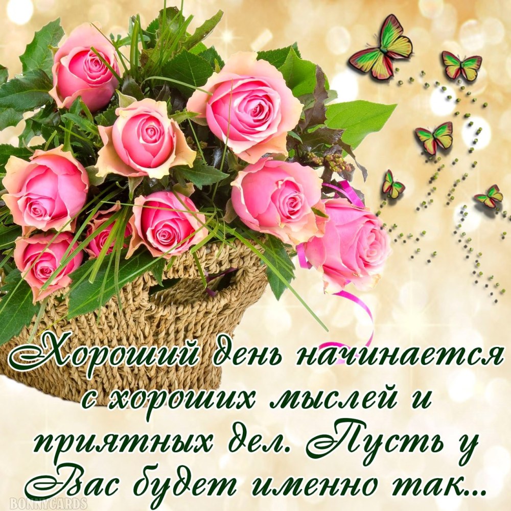 Хорошего денечка