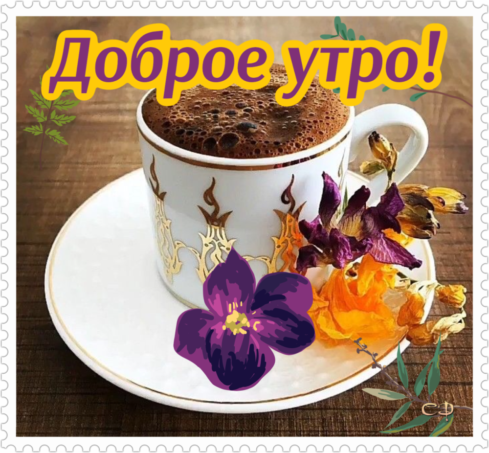 Доброе утро Галина