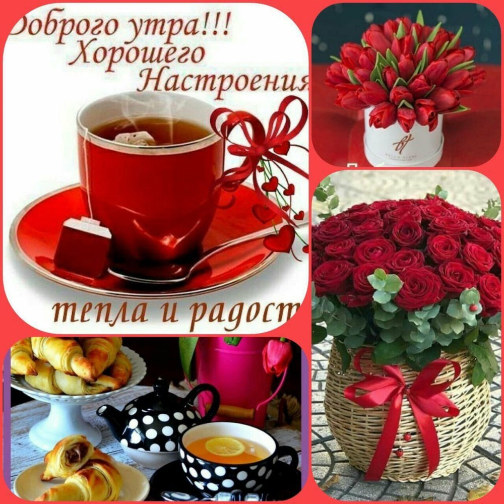 Доброе утро прекрасного дня
