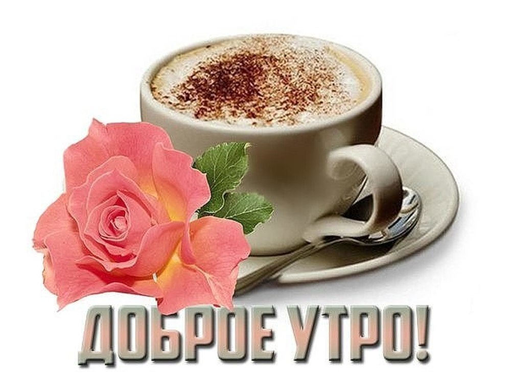 Доброе утро будьте здоровы