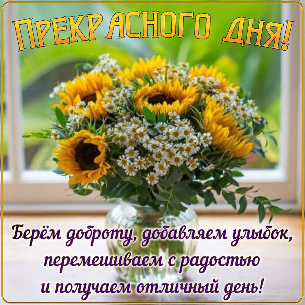 Доброе утро Елена Козелиди