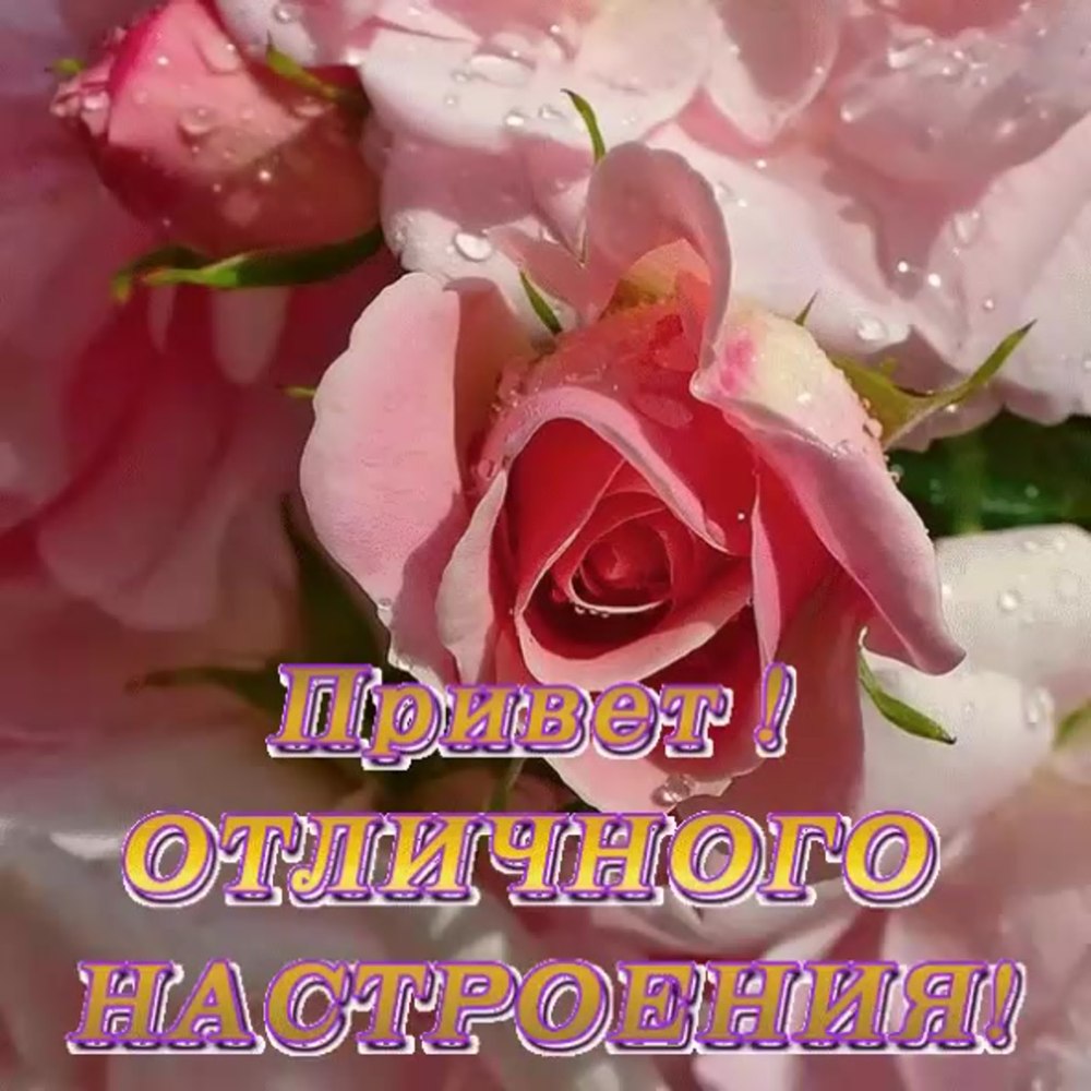 Пожелания накаждыц день