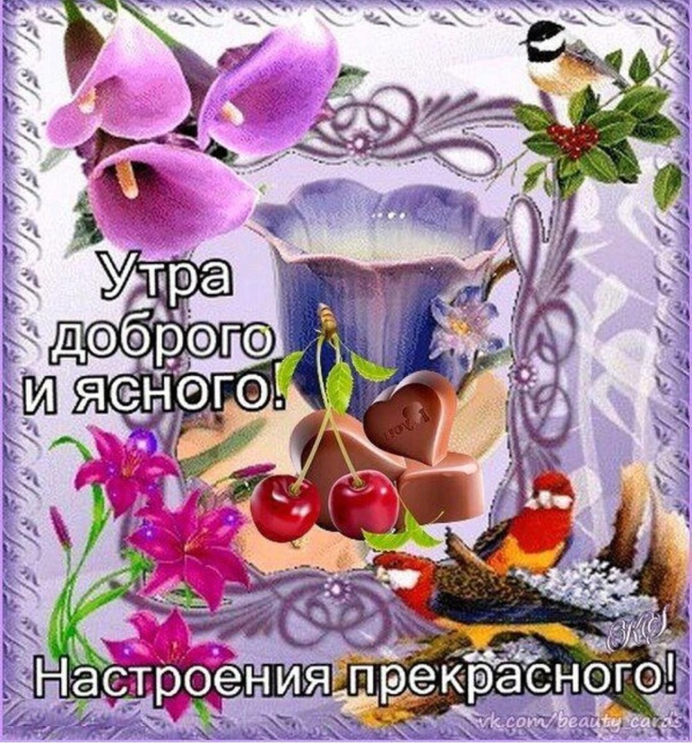 Поздравления с добрым днем красивые
