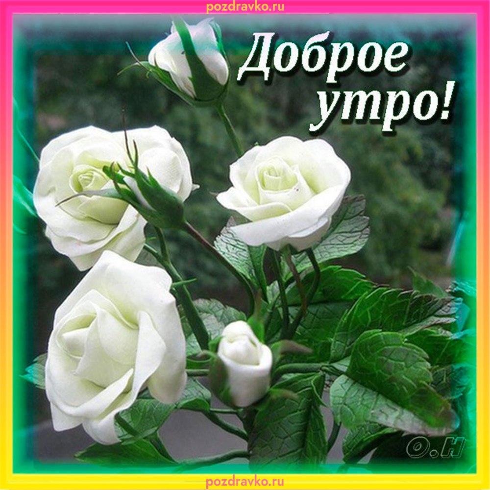 Позитивные открытки с добрым утром